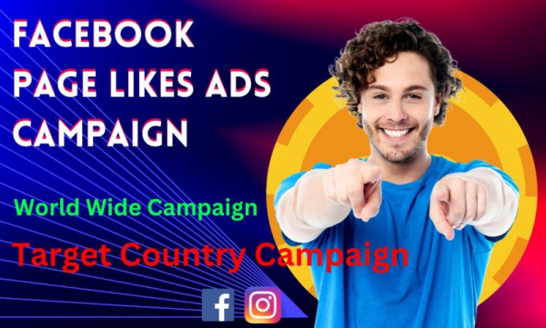 I will create a Facebook ad campaign to grow your page likes