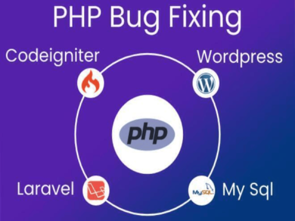 You will get Laravel Development | Custom app | Bug fixed in PHP, Laravel, Codeginter