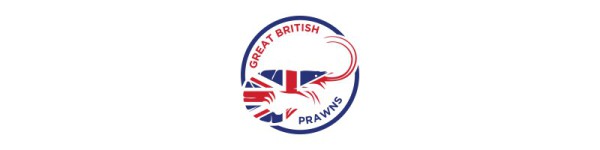 I Will Design Professional Unique Logo Design+Unlimited Revision+Source Files
