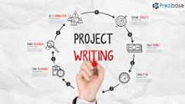 I can provide proven support in project management, Data Analysis & implementation.