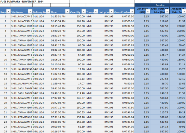 I will create professional spreadsheets for fuel consumption or other data management