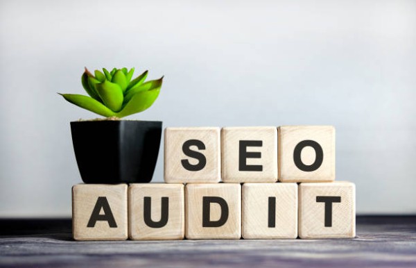 Full Website Audit
