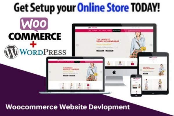 I can provide Responsive Wordpress Woocommerce Website Online Store