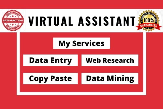 I will be your virtual assistant for any task