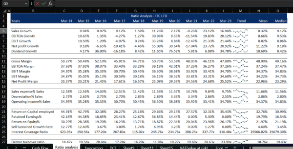 I will build a custom financial model and do forecast for your business