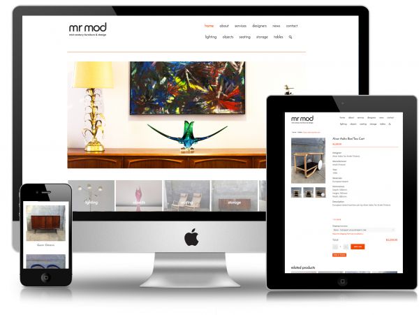 I can provide you a responsive and SEO friendly blogger webiste