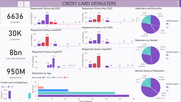 Power BI dashboards & WordPress websites with clean design and actionable insights.