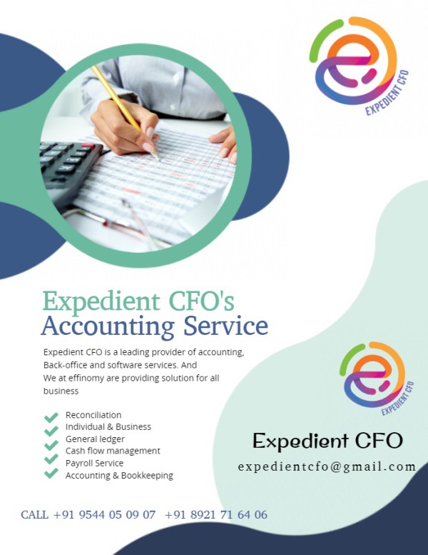 Virtual CFO, Bookkeeping, Reporting, Data entry & Business process support