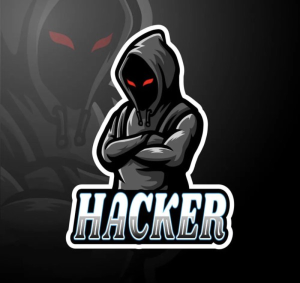 Hacking Expert