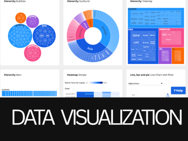 Data Visualization Expert | Interactive Dashboards & Insightful Reports