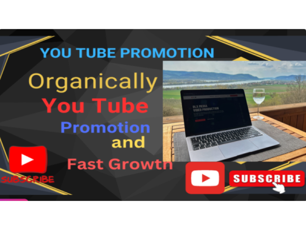 YouTube SEO for 5 video   Title, description, and tags optimized   Basic keyword rese
