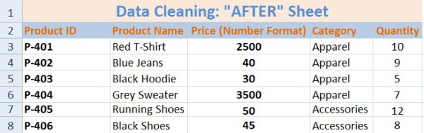 Expert Data Cleaning & Formatting: 1000 Rows in 24 Hours