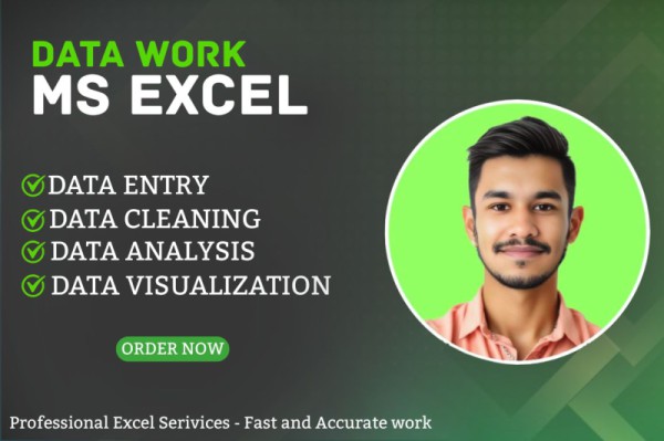 Professional Data Entry, Data Cleaning, and Data Analysis services using Excel