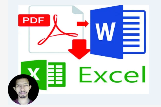I will do file conversion PDF to word/excel