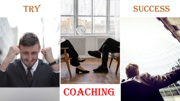 I can do Career Coaching for young professionals and experienced executives 