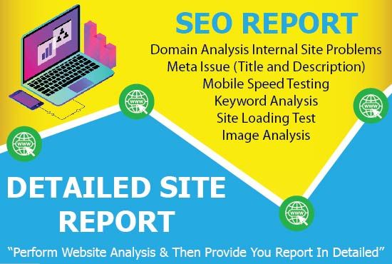 I will seo audit your site and provide detailed report