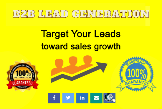 I can do b2b lead generation and targeted lead