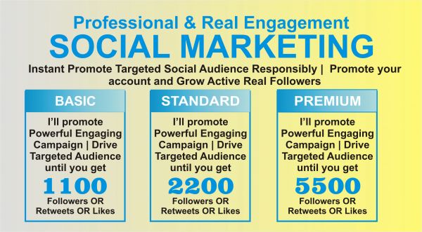 Organic and targeted Facebook Page Promotion