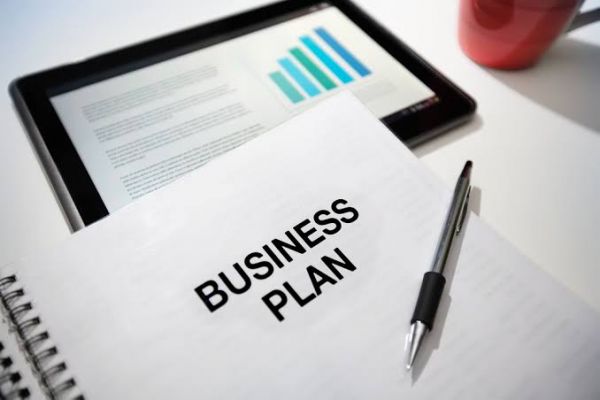 Create a professional business plan for startups
