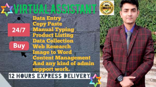I can be your virtual assistant for data entry, data mining, and web research