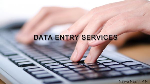 I can do accurate and efficient data entry and deliver in time