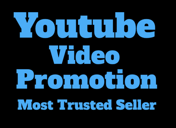 I will high quality youtube  video views promotion 3000