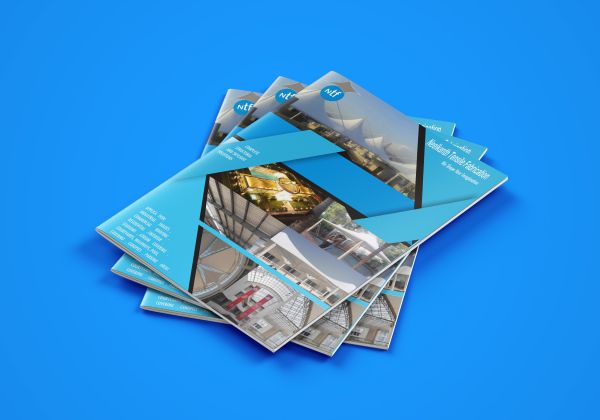 I will design professional brochure for your business  