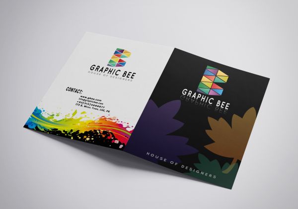 i will design unique attractive and multi page brochure for you business