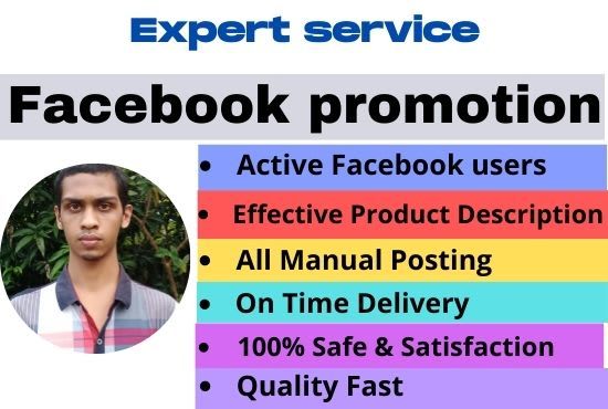 do facebook marketing, ads campaign promotion your business in the USA