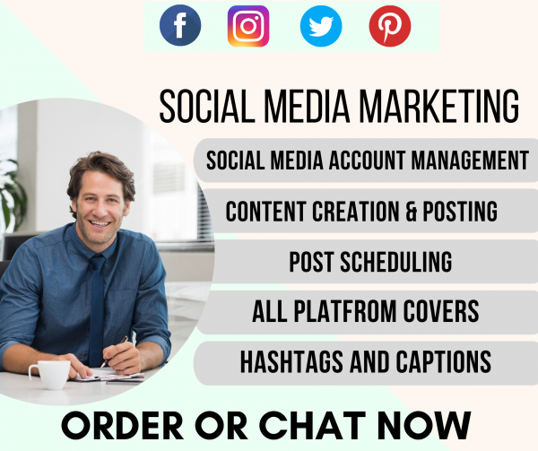 I will be your social media manager and content creator Fb, Insta, Twitter for 30 Day