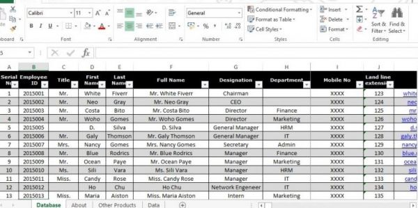 design professional database with microsoft excel
