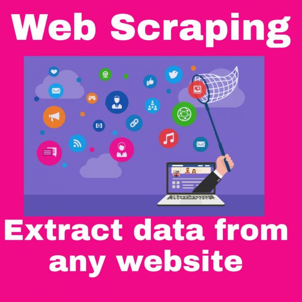 I can do Web Scraping and Excel Data Entry