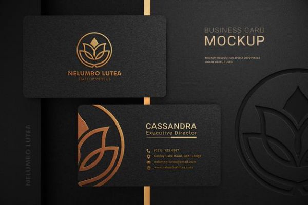 I will design professional business card in 24 hrs