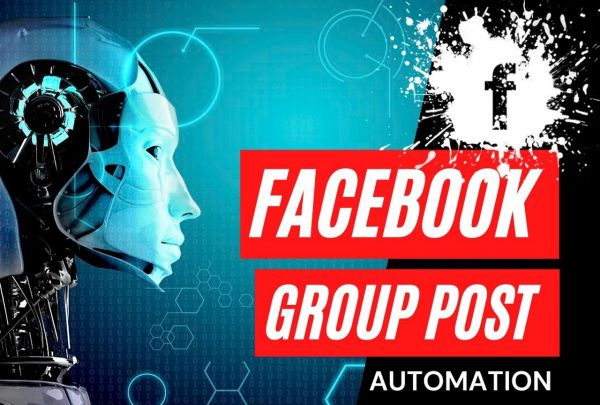 provide you with my automated facebook group post application