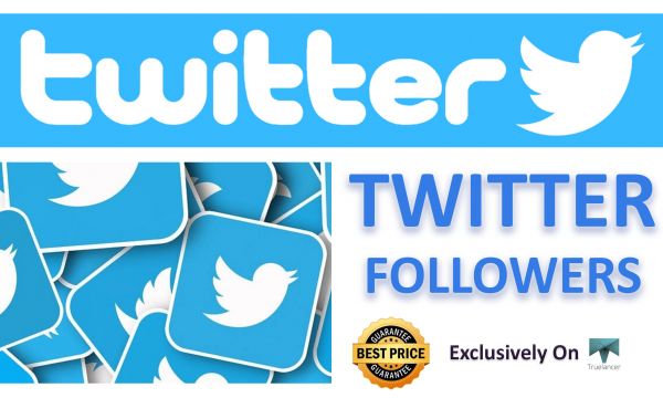 I wil provide you 1000 High Quality TWITTER Followers for your page 