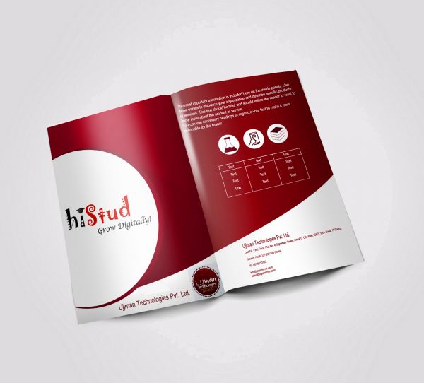 I will design a brchure for your business.