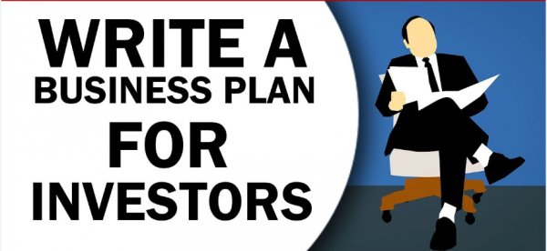 I will write a professional business plan with financial plan for investors