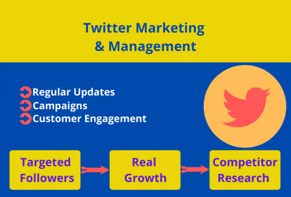 I will do twitter marketing to increase organic growth