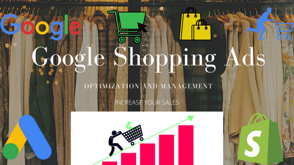 I can  set up your google shopping ads campaign