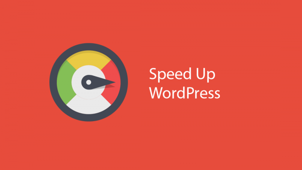I Will Speed Up Your WordPress Speed In 24 Hours