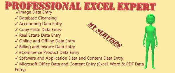 I can work as a virtual Assistant for you to make your office load less
