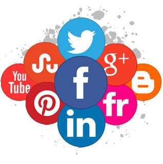 I will create Professional Social media accounts for your business 