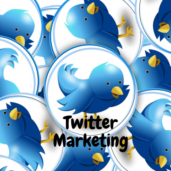 I will set up and manage your twitter business account with 3 post/day for 30 days