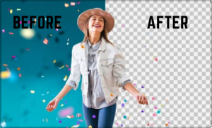 Portfolio Image