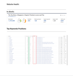 Portfolio Image
