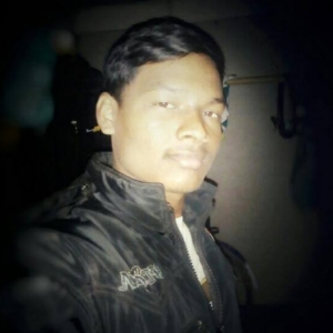 Pradip Mandi-Freelancer in Paschim Medinipur,India