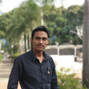Yogesh Hirekar-Freelancer in ,India
