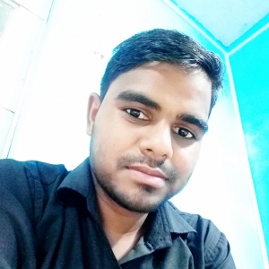 Vinod Arya-Freelancer in ,India