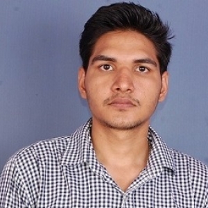 Naveen Kumar-Freelancer in Delhi,India