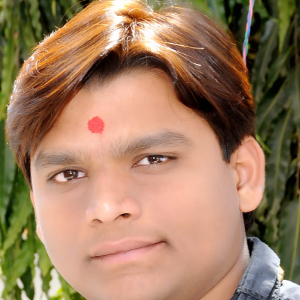 Bhagirath Dhanani-Freelancer in Surat,India